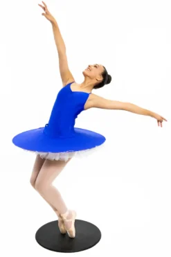 Fashion Mad Ally Pro Dance Disc